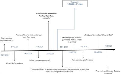 Worker Stress, Burnout, and Wellbeing Before and During the COVID-19 Restrictions in the United Kingdom